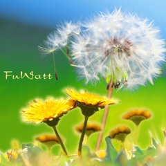Dandelion hill