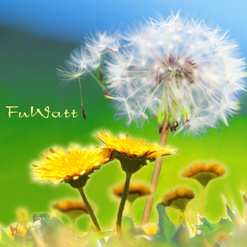 Dandelion hill