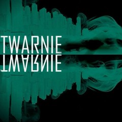 Twarnie - Make It One Day