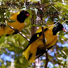 Like a Bird in the Tree - Sennid & The Echo Lair