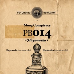 Moog Conspiracy - Hayawaska (Main Edit)[PB014]