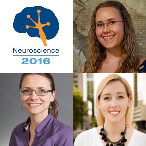 Stream episode 13 SfN 2016 Part 2, Beyond the Bench Exploring