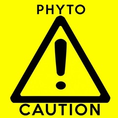 Phyto - Caution (Original Mix)