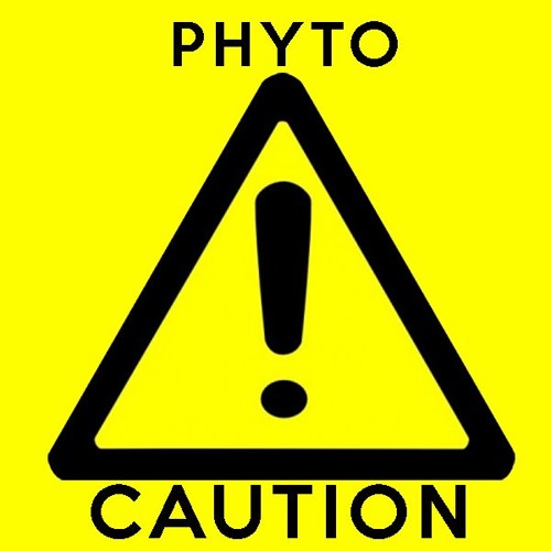 Phyto - Caution (Original Mix)