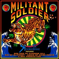 Militant Soldier