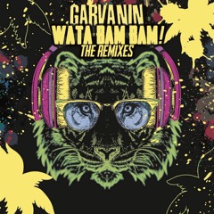 Garvanin - Wata BAM BAM! (DannyX Remix)