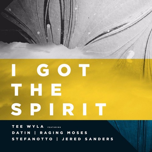 Tee-Wyla - I Got The Spirit ft. Datin, Raging Moses, Stefanotto & Jered Sanders