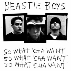 Beastie Boys - So What'cha Want (DoomCat Re-Think)