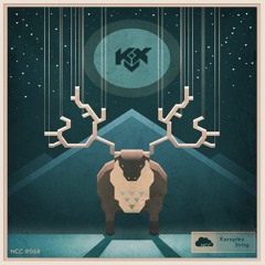 Karaplex - String