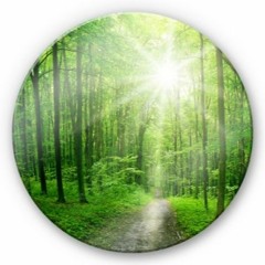 Light and Day // Djset by Da'jazz