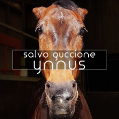 Salvo Guccione - Ynnus (Mare Mix)