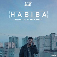BOEF - Habiba (MINIbeats x AJ Afro Remix)