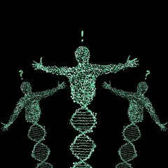 9 – Dark Matter of the Genome (part 2)