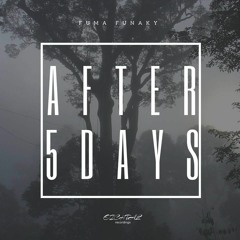 Fuma Funaky - After 5 Days (Original) LQ Preview