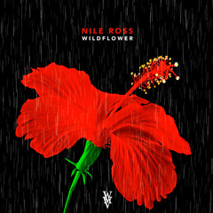 Wildflower (Prod. Nile Ross)🌺