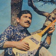 Bana Lümpen Demiş İtin Birisi (Mahzuni Şerif Cover)