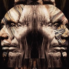 Armin Van Buuren - Vini Vici - Hilight Tribe - Great Spirit (Black & Blond  Bootleg) FREE DOWNLOAD