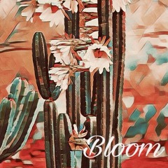 Bloom