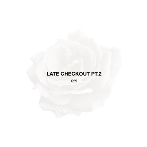 Late Checkout Pt.2