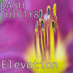 DASH THIRTY8 - Elevation (Original Mix)