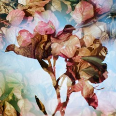 Artist Temporarily Unknown - Karibuni Ramadan