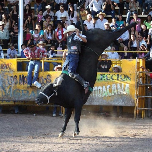 Stream SONES DE JARIPEO MIX BYDJ MAKIMBO by DJ MAKIMBO Listen online