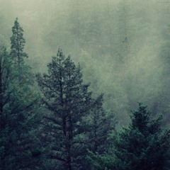 Nils [live] - Lentesessie 2017