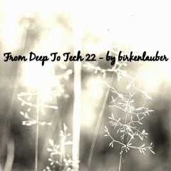 FROM DEEP TO TECH 22 - by birkenlauber
