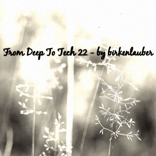 FROM DEEP TO TECH 22 - by birkenlauber