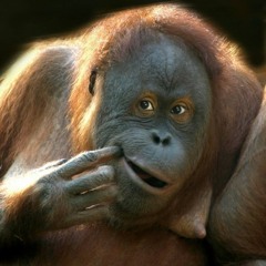 A F R O Y - 1nce again Remix