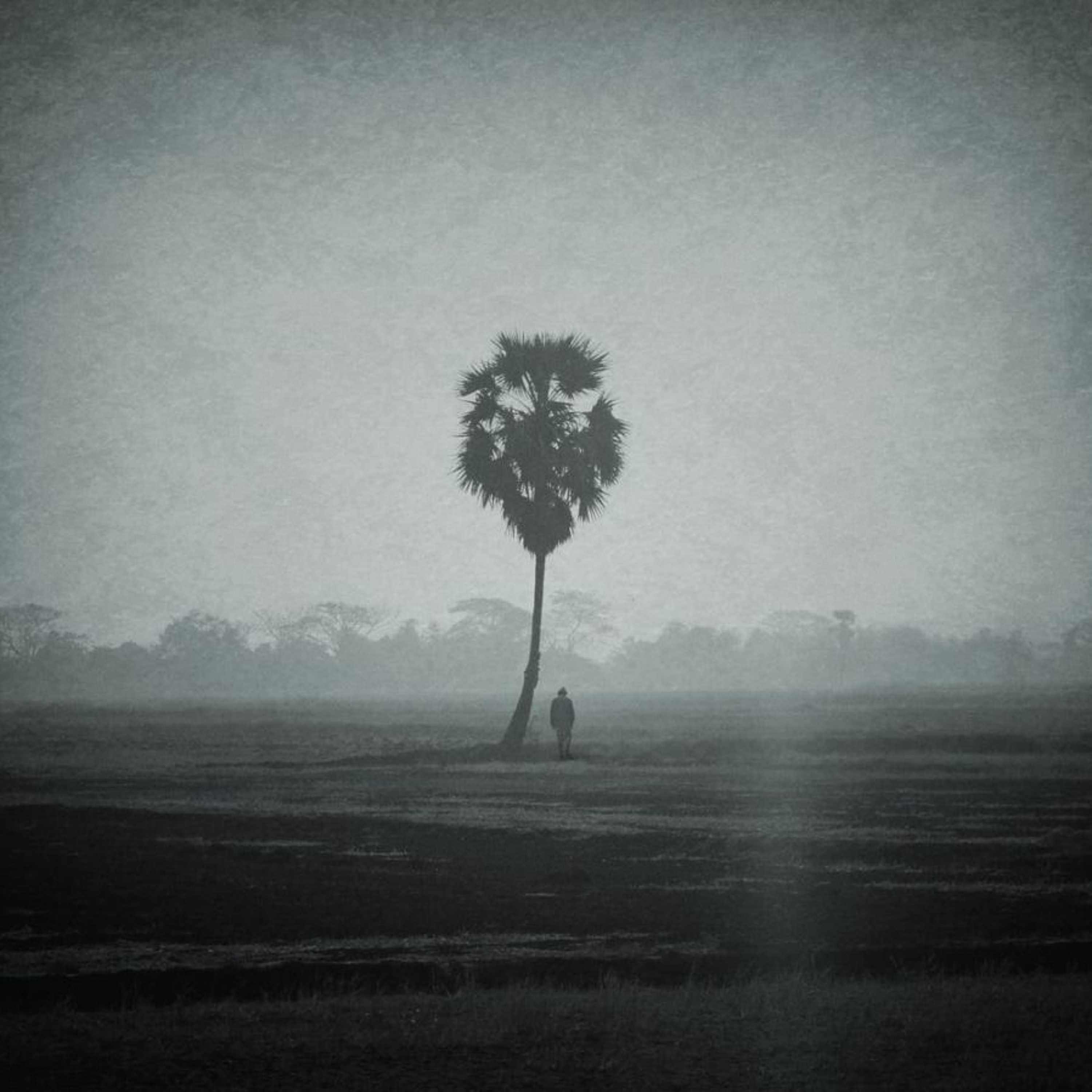 Matt Stewart-Evans
