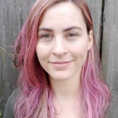 Interview with Sam Berg about US electoral politics