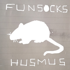 Funsocks - HusMus
