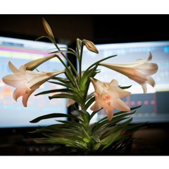 Owl City Finger Snap Sample Demo