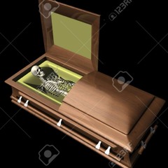 666 DAYS PROD.DOLLIE