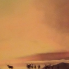 Flashes from the Canyon