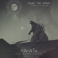 expel the venus - karate -(Babymetal Cover)