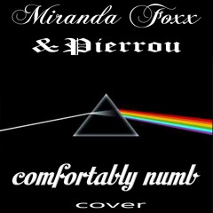 Comfortably Numb (covered by Miranda & Pierrou) EXTENDED & REMASTERED!!
