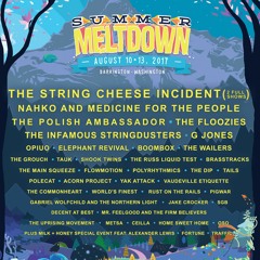 Summer Meltdown 2017 Lineup Playlist