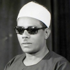 النمل الشيخ محمود حسنين الكلحي