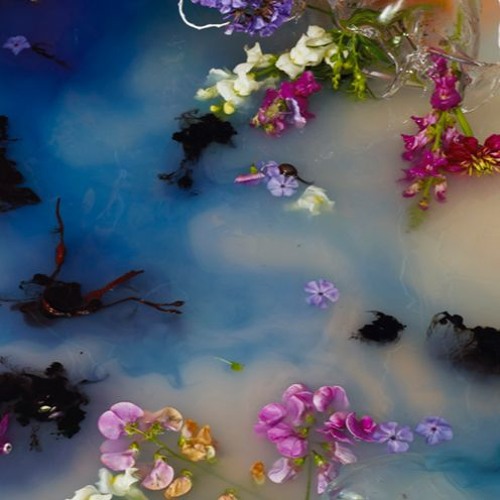 MELTYCANONSAVEDTHEGAME