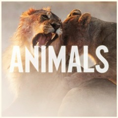 Animals // Maroon 5 [Nightcore by Souma]