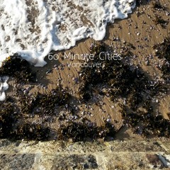 Vancouver- Parking Trains - New Brighton- Adrian Dziewanski