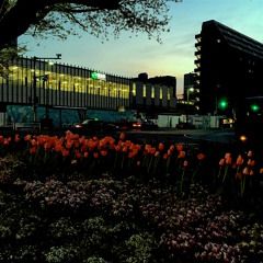 天気雨 / 流線Kグルーヴ(motif by ITL)