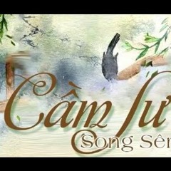 Cầm sư - Song Sênh I 琴师 - 双笙