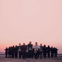 Bangtan Boys - Born Singer