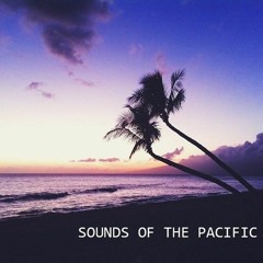 Sounds Of The Pacific 016 (Live from ???, Tokyo Japan)