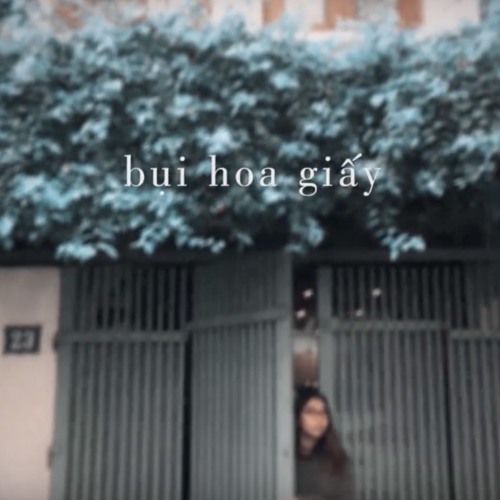 Bụi Hoa Giấy