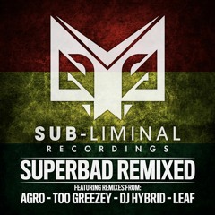 DJ Hybrid - Kung fu Master (Too Greezey Remix)