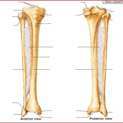 Il y a des choses qu'on pense en musique minimale